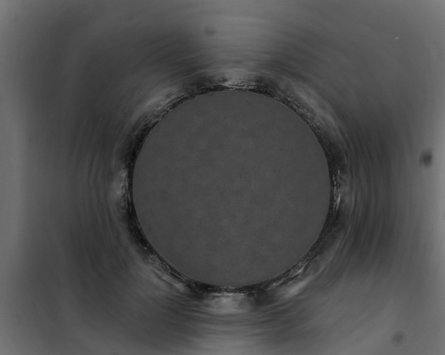 X0000102350748200808081154