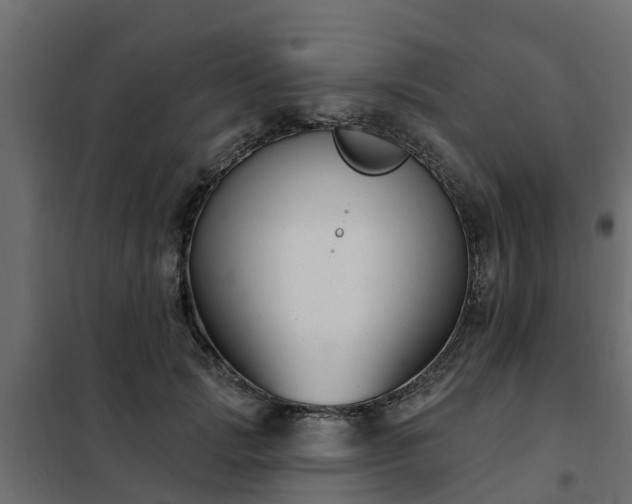 X0000102350749200808081154