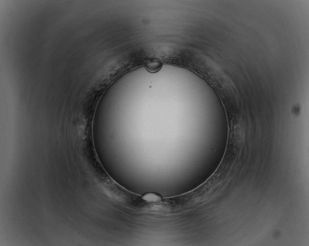 X0000102350750200808081154