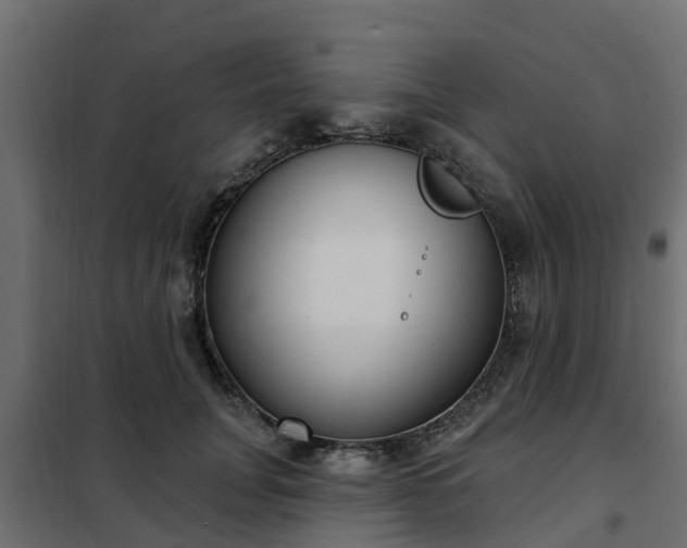 X0000102350751200808081154