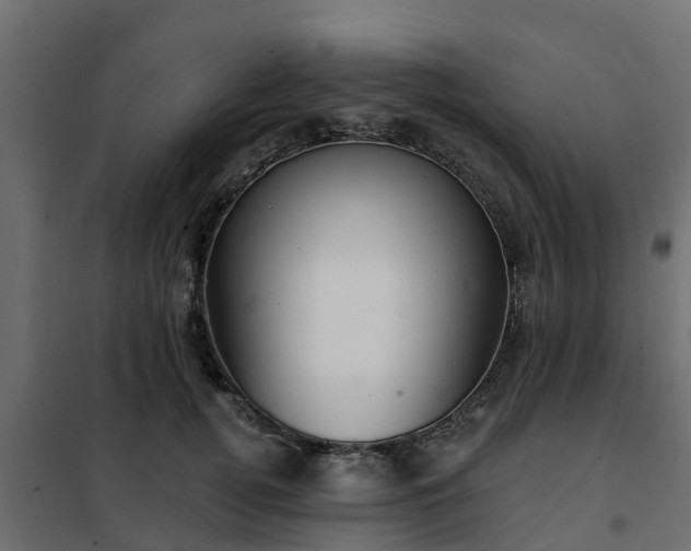 X0000102350752200808081154