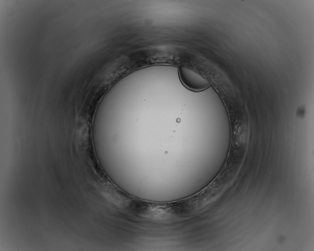 X0000102350753200808081154