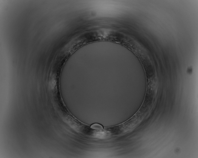 X0000102350754200808081154