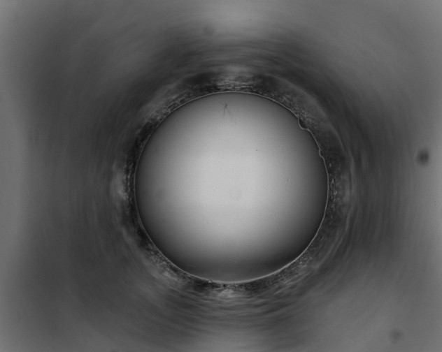 X0000102350755200808081154