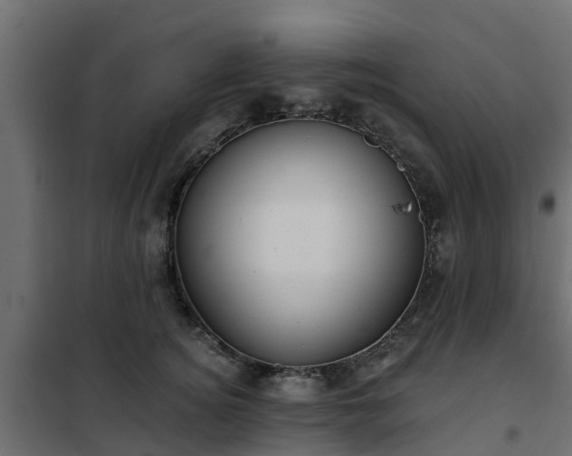 X0000102350756200808081154