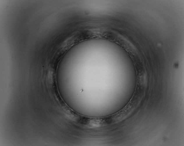 X0000102350757200808081154