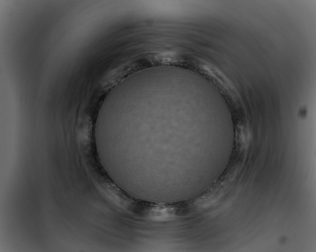 X0000102350760200808081154