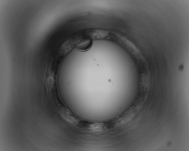 X0000102350761200808081154