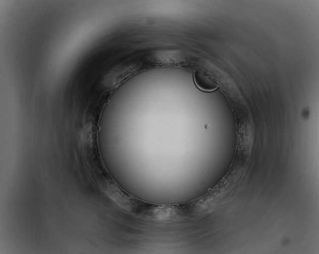 X0000102350762200808081154