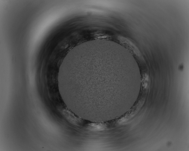 X0000102350763200808081154