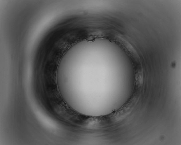 X0000102350764200808081154