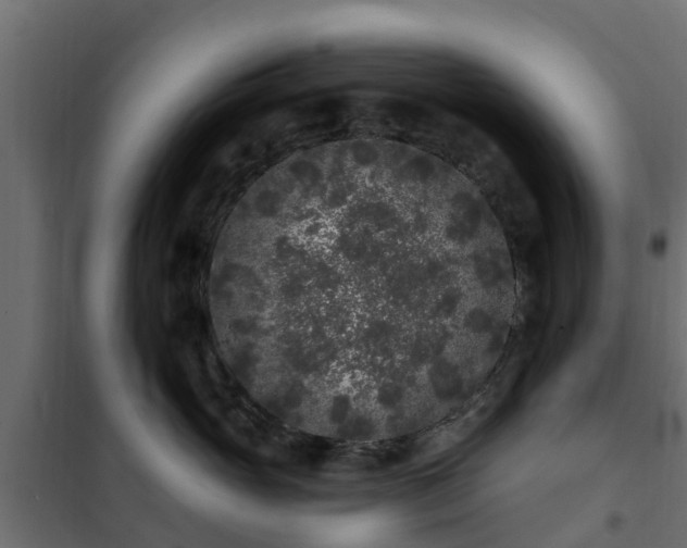 X0000102350765200808081154