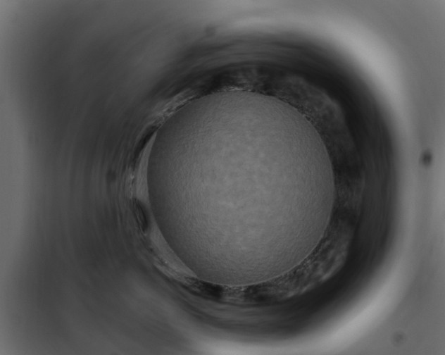 X0000102350766200808081154