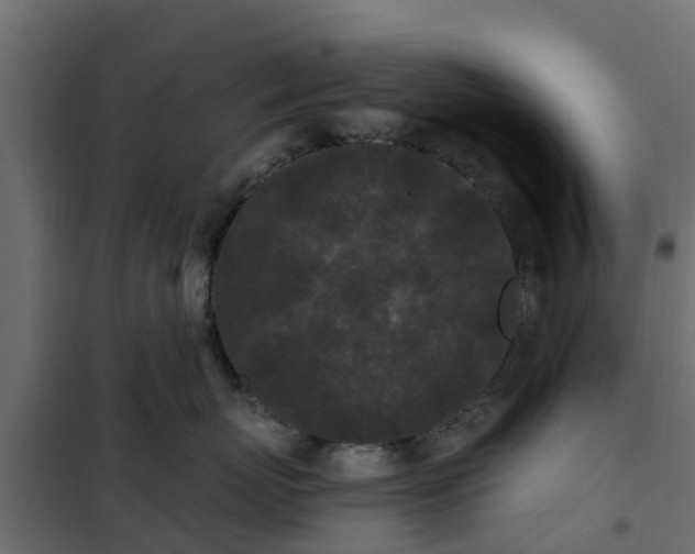 X0000102350767200808081154