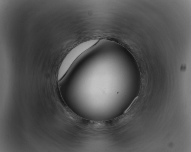 X0000102350768200808081154