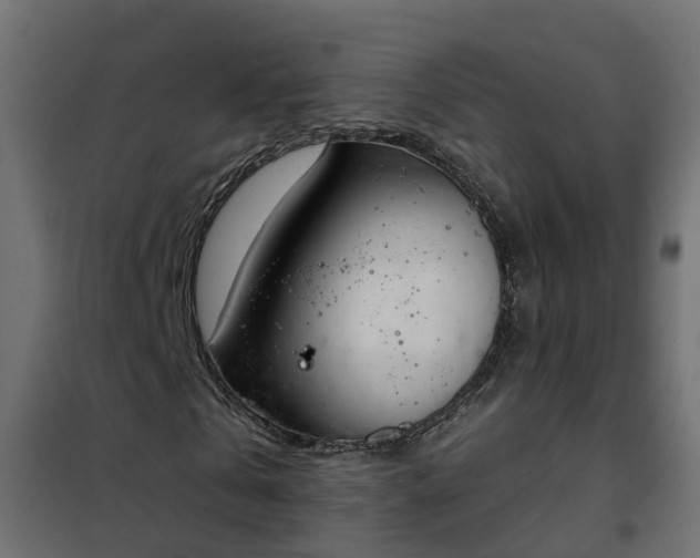 X0000102350769200808081154