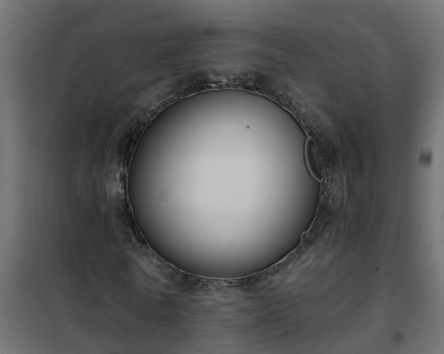 X0000102350770200808081154