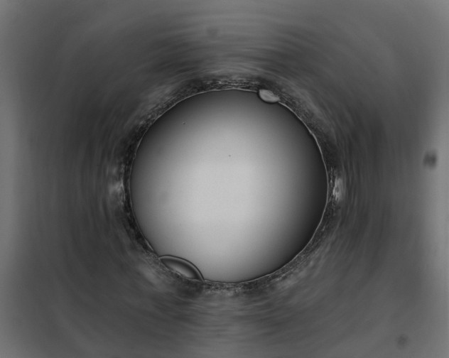 X0000102350771200808081154