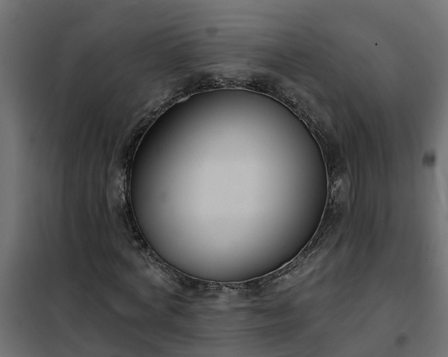 X0000102350772200808081154