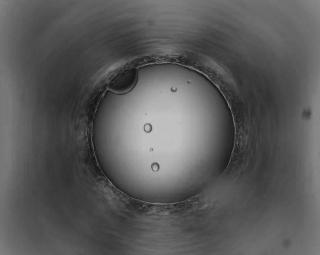 X0000102350773200808081154