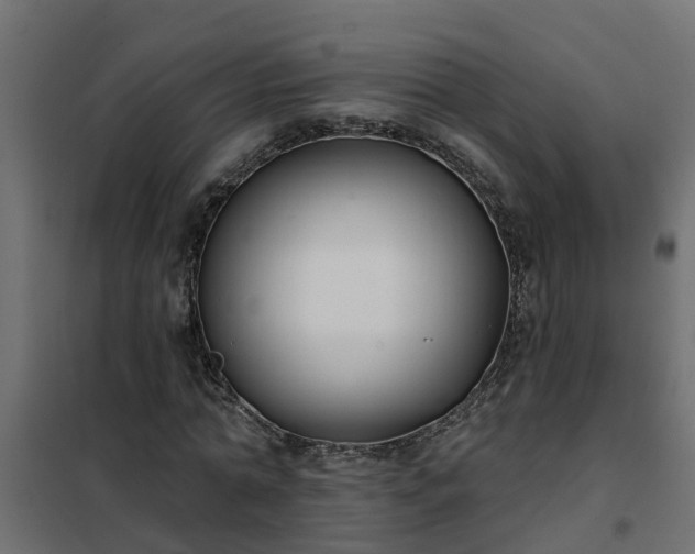 X0000102350774200808081154