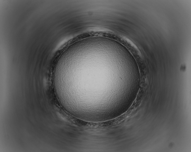 X0000102350775200808081153