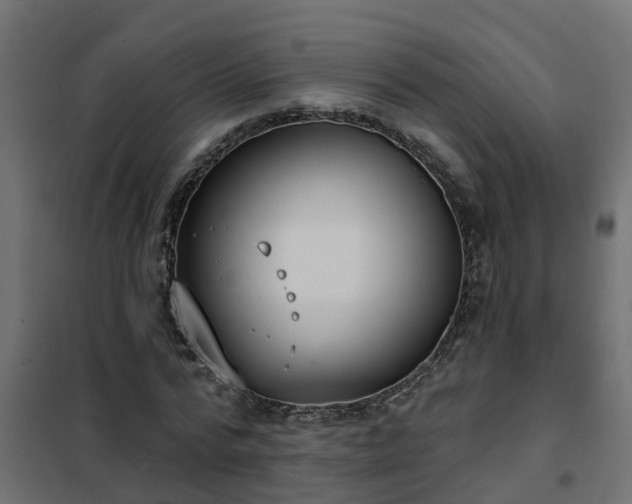 X0000102350776200808081153