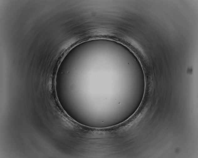 X0000102350777200808081153