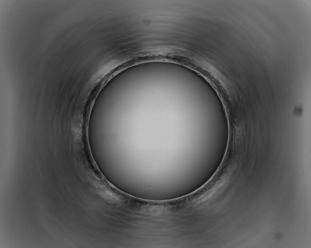 X0000102350778200808081153