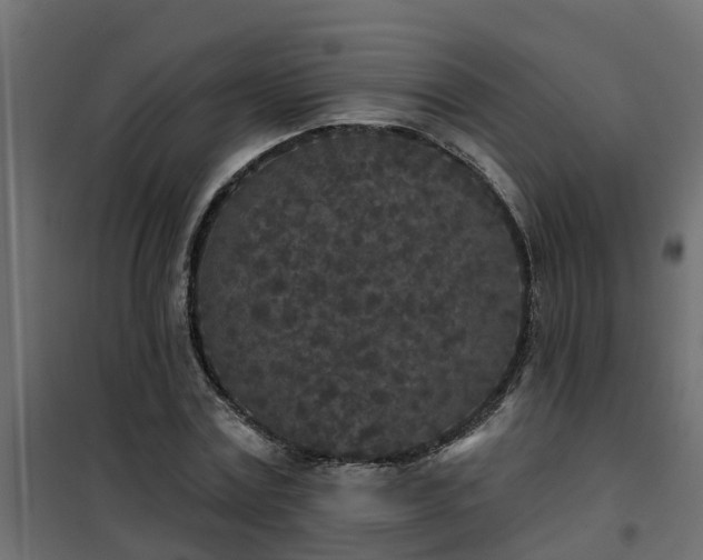 X0000102350779200808081153