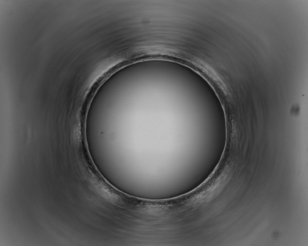 X0000102350782200808081153