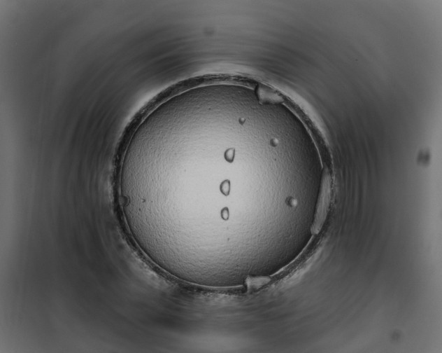 X0000102350783200808081153