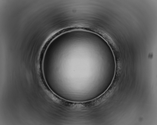 X0000102350784200808081153