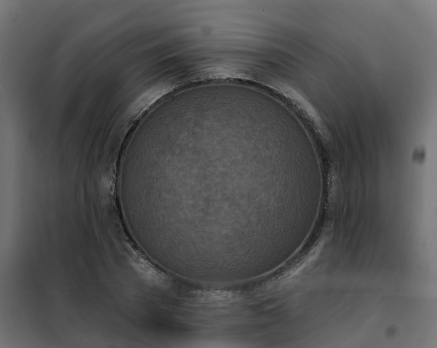 X0000102350785200808081153