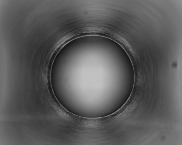 X0000102350786200808081153