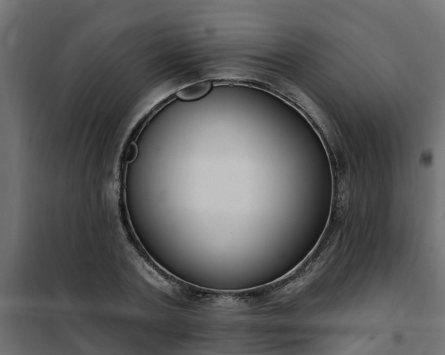 X0000102350787200808081153