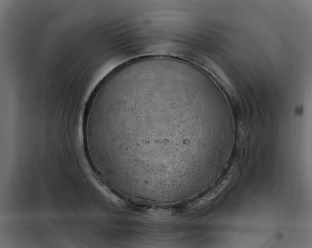 X0000102350788200808081153