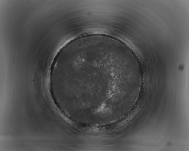 X0000102350790200808081153