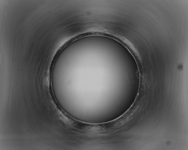 X0000102350791200808081153