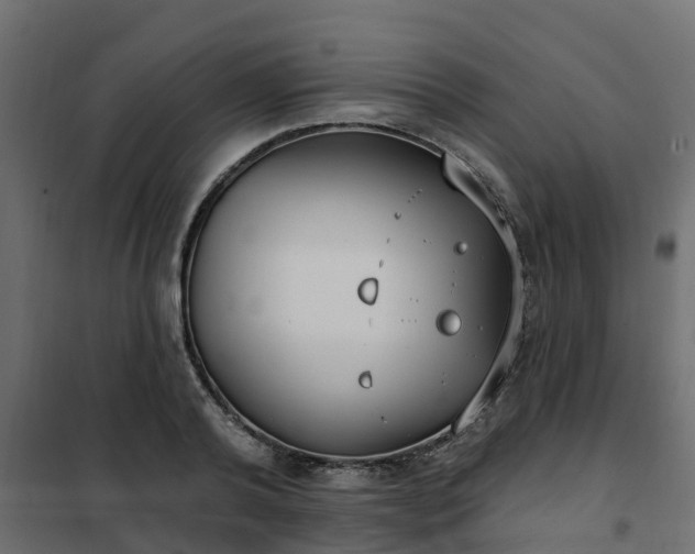 X0000102350792200808081153