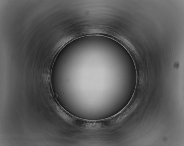 X0000102350793200808081153