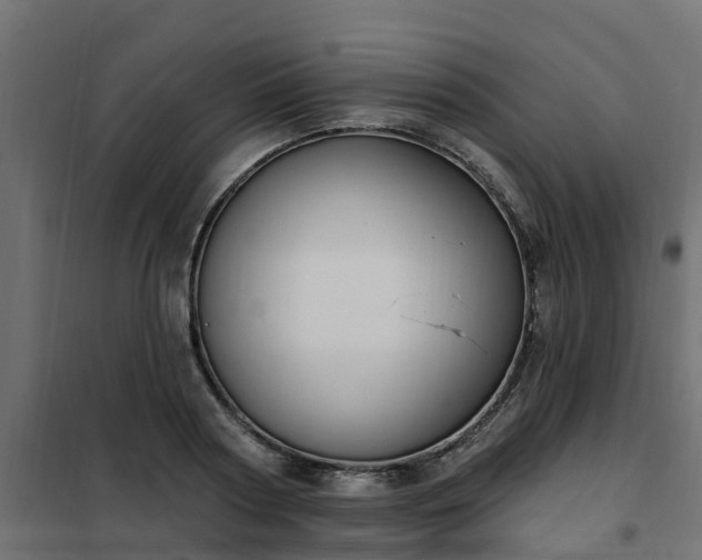 X0000102350794200808081153