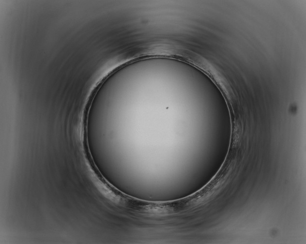 X0000102350795200808081153