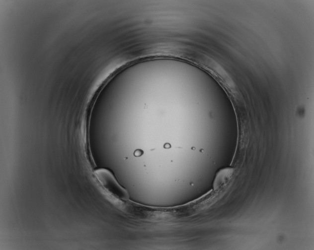 X0000102350796200808081153