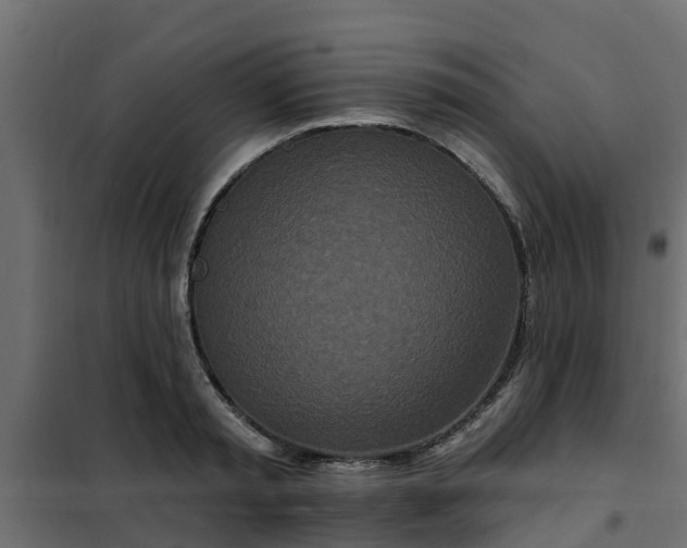 X0000102350797200808081153