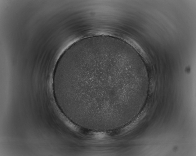 X0000102350798200808081153