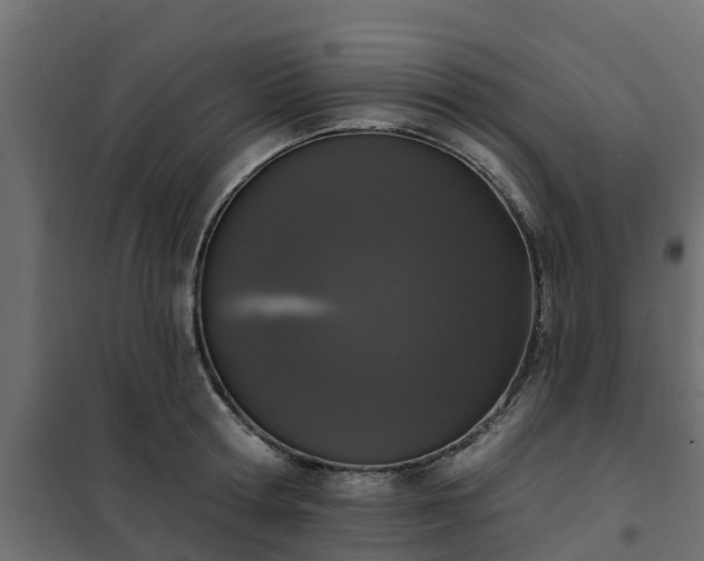 X0000102350802200808081153