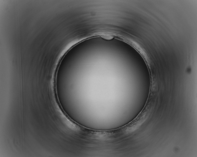 X0000102350803200808081153