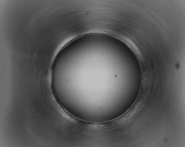 X0000102350804200808081153