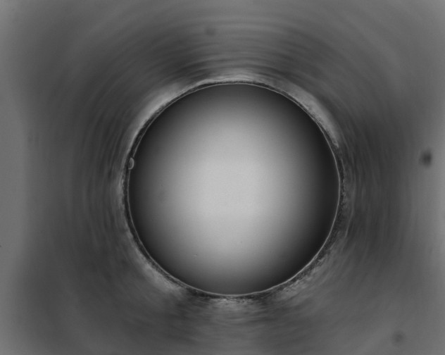 X0000102350805200808081153